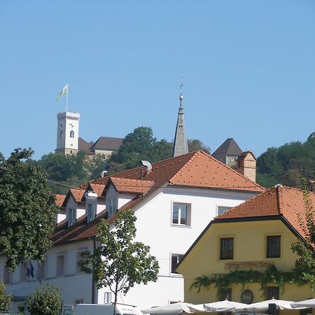 House Trta Daire Ljubljana Dış mekan fotoğraf